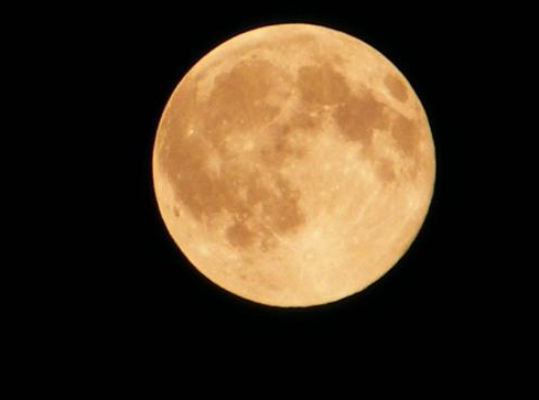 2014八月十五放假吗