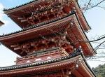 这7个地方没去等于没去过日本！