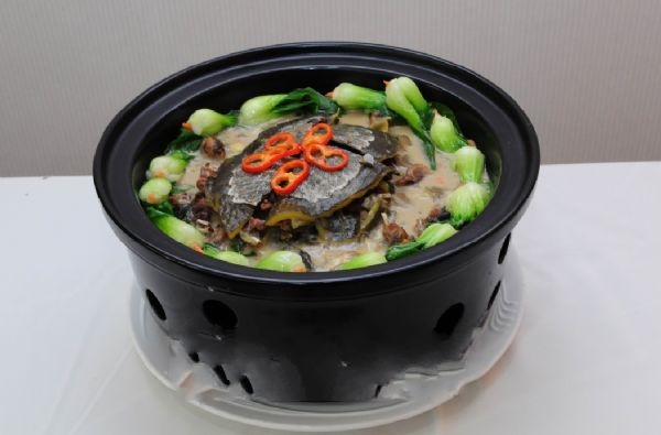 甲鱼煮粉皮