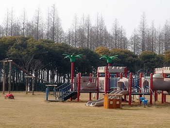 明珠湖公园